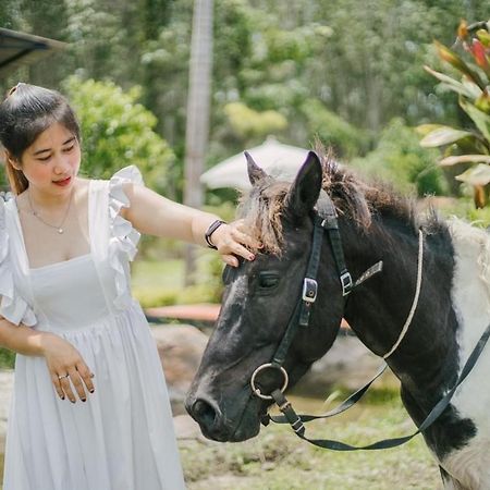 ไร่นาบัวหลวง คาเฟ่ & ฟาร์มสเตย์ Raina Bualuang Cafe & Farm Stay Ban Na No Экстерьер фото