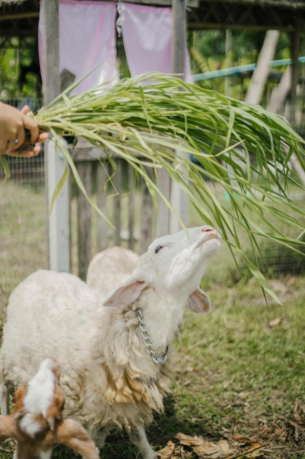 ไร่นาบัวหลวง คาเฟ่ & ฟาร์มสเตย์ Raina Bualuang Cafe & Farm Stay Ban Na No Экстерьер фото