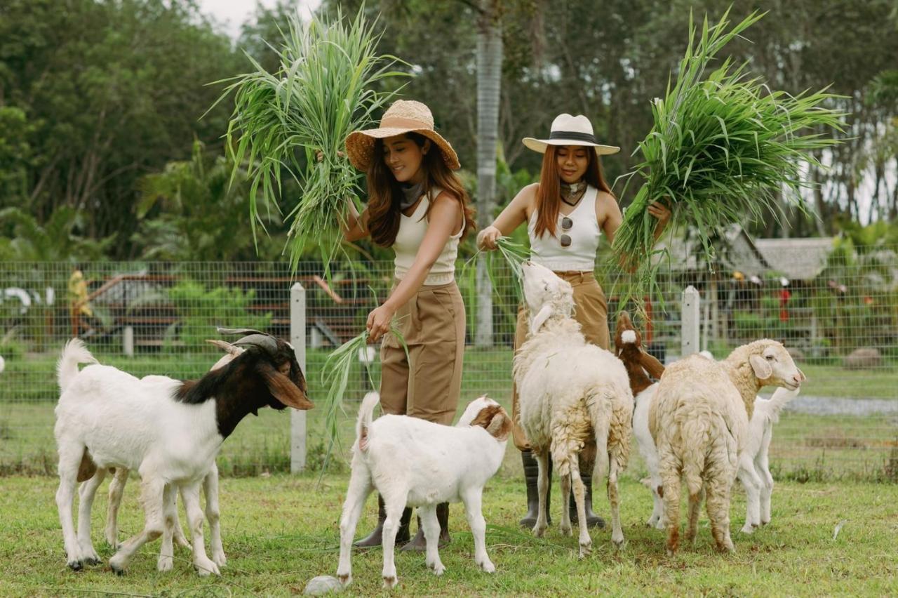 ไร่นาบัวหลวง คาเฟ่ & ฟาร์มสเตย์ Raina Bualuang Cafe & Farm Stay Ban Na No Экстерьер фото